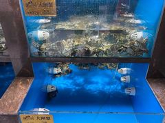 -蟹小姐节气生鲜·年货(高新店)