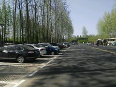 -黄海国家森林公园