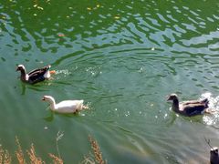 -丹东天桥沟景区