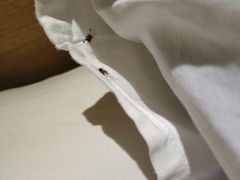 -如家酒店·neo(广州东山口地铁站中山一院店)