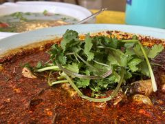 -胖大姐黄辣丁鱼庄(新津店)