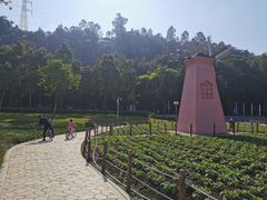 -顺峰山公园