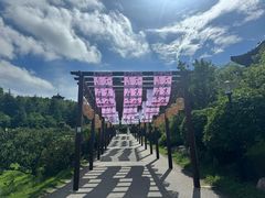 -威海华夏城景区