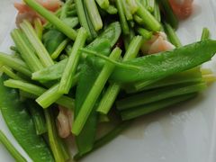 -云中小雅