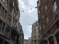 -布鲁塞尔大广场