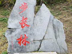 -北京十三陵国家森林公园蟒山景区