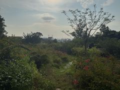 -泉州海丝野生动物世界