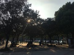 -上海中医药大学附属曙光医院(东部)