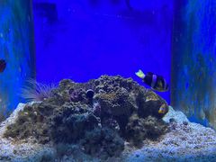 -江和美海洋公园