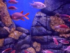 -成都浩海立方海洋公园