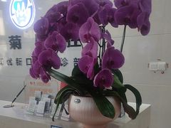 -茂菊口腔连锁(浦东南路店)