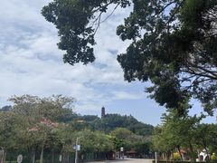 -南沙天后宫景区