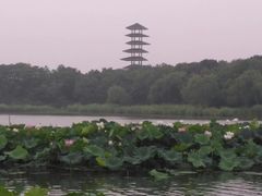 -暨阳湖生态园