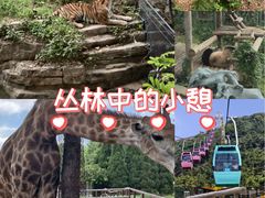 -大连森林动物园