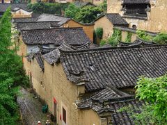 -杨家堂村