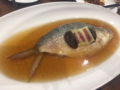 -乔家栅(襄阳南路店)