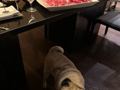 -西安浐灞艾美酒店·汉江餐厅·火锅