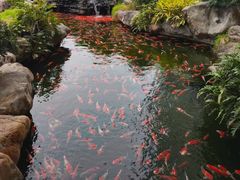 -松雅轩(大源店)