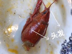 -蛙蛙叫干锅年代(簋街总店)