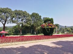 景点-东南花都花博园