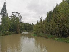 -桤木河湿地公园