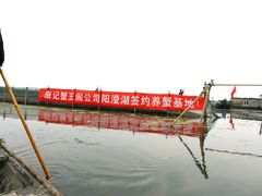 -阳澄湖大闸蟹海参(翟营大街总店)