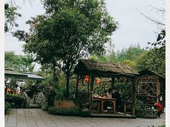 -青城甲(青城山店)