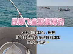 -日照灯塔风景区