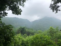 -天门沟九州驿站树上汤泉