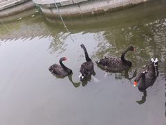 -迦南·甜品蛋糕(传媒店)