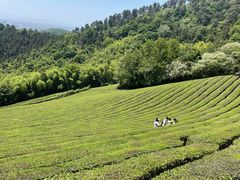 -敬亭山风景名胜区