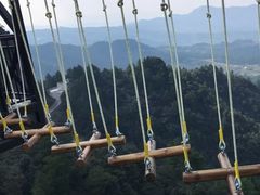 -梦幻奥陶纪景区