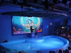 -石家庄海洋公园
