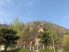 -北京鹫峰国家森林公园