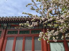 -海棠花溪(元大都城垣遗址公园)