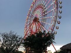 -芽庄珍珠岛游乐园