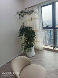 -HEYAN荷妍专业脱毛连锁机构