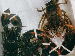 -霞涌市场海鲜摆卖区
