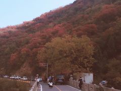 -青龙山生态文化旅游区(慈云寺)