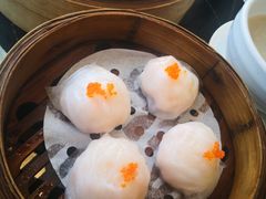 虾饺-新海利(北岭店)