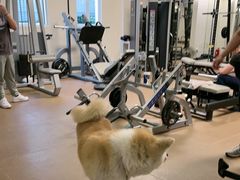 -YCHL Studios健身工作室(市二宫店)