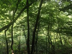 -三块石国家森林公园