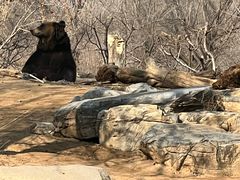 -北京野生动物园