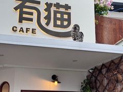 -有猫主题·治愈系猫咖(曾厝垵店)