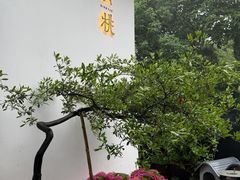 -青桃餐厅