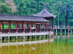 -龙头寺公园