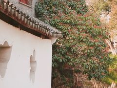 -水绘园