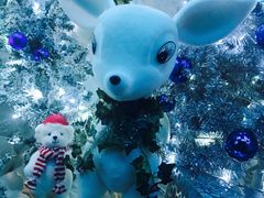 -上海外滩英迪格酒店