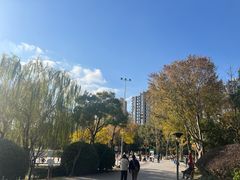 -南翔镇银翔湖公园