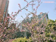 -龙美术馆(西岸馆)